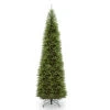 12’ Kingswood Fir Pencil Artificial Christmas Tree - Unlit 1 12’ Kingswood Fir Pencil Artificial Christmas Tree - Unlit -Optimal Christmas Shop dnat kw7 500 120 01 37605.1667571933