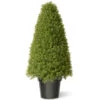 36" Green Artificial Boxwood Topiary Tree With Weighted Pot 2 36" Green Artificial Boxwood Topiary Tree With Weighted Pot -Optimal Christmas Shop dnat lbx4 36 01 17029.1667533504