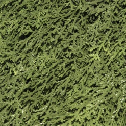 27" Upright Juniper Ball Topiary Tree In Urn - Unlit -Optimal Christmas Shop dnat lcy4 704 27 3 32463.1667643292