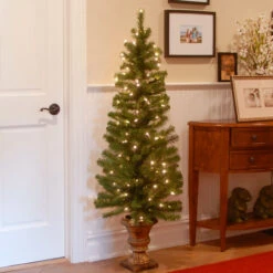 5’ Pre-Lit Montclair Spruce Christmas Tree - Clear Lights -Optimal Christmas Shop dnat mc7 308 50 2 63571.1667659232