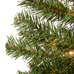5’ Pre-Lit Montclair Spruce Christmas Tree - Clear Lights -Optimal Christmas Shop dnat mc7 308 50 3 09174.1667659233
