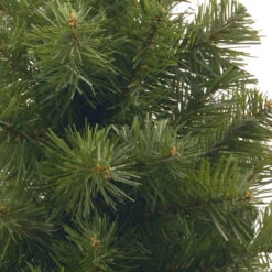 2' Potted Noble Spruce Medium Artificial Christmas Tree - Unlit 6 2' Potted Noble Spruce Medium Artificial Christmas Tree - Unlit -Optimal Christmas Shop dnat nb1 20bp 1 2 09607.1667574312