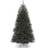 6.5’ North Valley Black Spruce Artificial Christmas Tree – Unlit 2 6.5’ North Valley Black Spruce Artificial Christmas Tree – Unlit -Optimal Christmas Shop dnat nrvk7 500 65 1 99754.1667580439