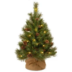 3' Pre-Lit Potted Pine Cone Battery Operated Medium Artificial Christmas Tree - Warm White LED Lights