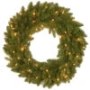 24” Pre-Lit Avalon Spruce Christmas Wreath - Clear Lights