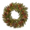 30" Pre-Lit Bristle Berry Battery Operated Artificial Christmas Wreath - Warm White LED Lights -Optimal Christmas Shop dnat pebb3 300 24wb1 1 80787.1667570725