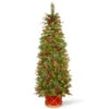 6' Pre-Lit Pencil Colonial Pine Artificial Half Wall Christmas Tree - Clear Lights -Optimal Christmas Shop dnat peco8 361 60ht 1 64413.1667574320