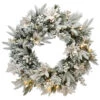 Pre-Lit Frosted Colonial Fir Artificial Christmas Wreath, 24-Inch, Warm White LED Lights -Optimal Christmas Shop dnat peco8 362 24w b 92836.1667647072