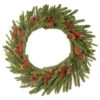 24" Pre-Lit Dorchester Fir Battery Operated Artificial Christmas Wreath - Warm White Lights -Optimal Christmas Shop dnat pedr3 300 24wb1 1 31158.1667489208