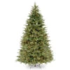 9’ Pre-Lit Frasier Grande Artificial Christmas Tree - Clear Lights -Optimal Christmas Shop dnat pefg3 308 90 1 62430.1667576112