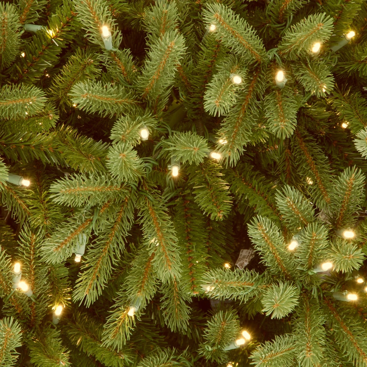 12’ Pre-Lit Jersey Fraser Artificial Christmas Tree - Clear Lights 5 12’ Pre-Lit Jersey Fraser Artificial Christmas Tree - Clear Lights - Image 3
