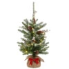 2' Pre-Lit Potted Medium Snowy Morgan Spruce Artificial Christmas Tree, Warm LED Lights 1 2' Pre-Lit Potted Medium Snowy Morgan Spruce Artificial Christmas Tree, Warm LED Lights -Optimal Christmas Shop dnat pemg3 306 20 b 53078.1667535629