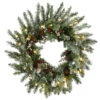 Pre-Lit Snowy Morgan Spruce Artificial Christmas Wreath, 24-Inch, Warm White LED Lights 2 Pre-Lit Snowy Morgan Spruce Artificial Christmas Wreath, 24-Inch, Warm White LED Lights -Optimal Christmas Shop dnat pemg3 31424wbc1 69217.1667517769