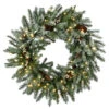 Pre-Lit Snowy Morgan Spruce Artificial Christmas Wreath, 30-Inch, Warm White LED Lights -Optimal Christmas Shop dnat pemg3 31430wbc1 56149.1667549355