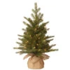 2' Pre-Lit Potted Nordic Spruce Full Artificial Christmas Tree – Clear Lights -Optimal Christmas Shop dnat pens1 333 20 1 1 82604.1667574291