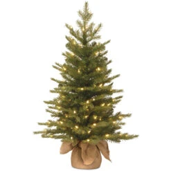 3' Pre-Lit Potted Nordic Spruce Medium Artificial Christmas Tree - Clear Lights