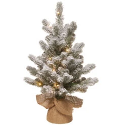 2' Pre-lit Potted Snowy Sheffield Spruce Battery Operated Artificial Christmas Tree, Warm White LED Lights