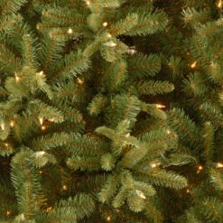 7’ Pre-Lit Tiffany Fir Artificial Christmas Tree – Clear Lights 7 7’ Pre-Lit Tiffany Fir Artificial Christmas Tree – Clear Lights -Optimal Christmas Shop dnat petf3 304 70 3 01442.1667578033