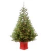 6' Pre-Lit Potted Topeka Spruce Entrance Medium Artificial Christmas Tree – Clear Lights -Optimal Christmas Shop dnat petp2 310 60 1 23374.1667531754