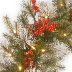 Pre-Lit Wintry Berry Artificial Christmas Wreath - 30-Inch, LED Lights -Optimal Christmas Shop dnat pewt 300 30wb 1 3 00160.1667522083