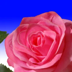 72” Flower Decorated Artificial Garland -Optimal Christmas Shop dnat ras 452301a 1 3 64245.1667646219