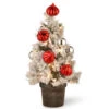 2' Pre-Lit Potted Snowy Bristle Pine Medium Artificial Tabletop Christmas Tree - Warm White LED Lights 1 2' Pre-Lit Potted Snowy Bristle Pine Medium Artificial Tabletop Christmas Tree - Warm White LED Lights -Optimal Christmas Shop dnat snp7 308 20 b 95977.1667564813