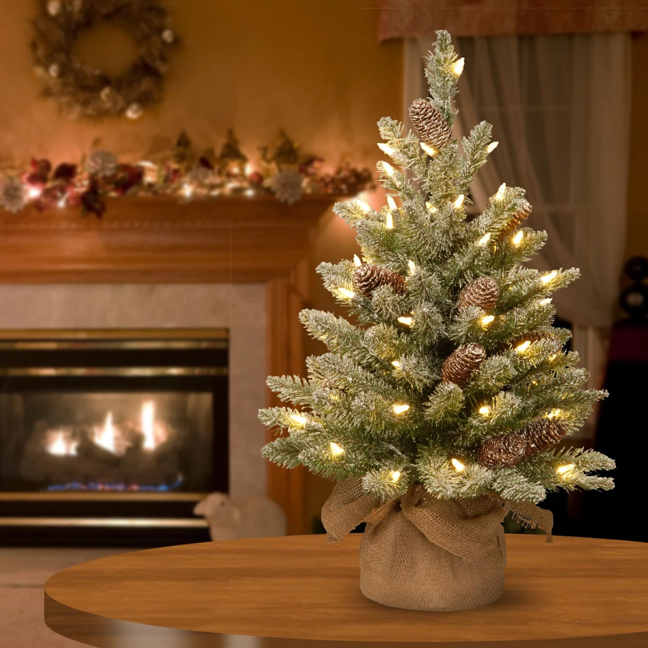 2' Pre-lit Potted Battery Operated Snowy Concolor Fir Artificial Christmas Tree - Warm White LED Lights 4 2' Pre-lit Potted Battery Operated Snowy Concolor Fir Artificial Christmas Tree - Warm White LED Lights - Image 2