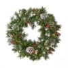 24" Mixed Spruce Christmas Wreath W/50 Warm White LED Lights, Frosted Branches, Red Berries And Pine -Optimal Christmas Shop dnhhf 307396 1 96010.1667576780