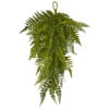 Set Of 2 Artificial Fern Teardrop Christmas Swag, 28-Inch, Unlit 1 Set Of 2 Artificial Fern Teardrop Christmas Swag, 28-Inch, Unlit -Optimal Christmas Shop dnnl204322 s2 1 52262.1688110076