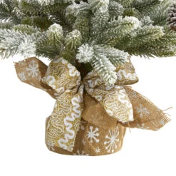 2' Potted Flocked Artificial Christmas Tree With Pinecones, Unlit -Optimal Christmas Shop dnnl20t1986 6 52994.1681393426