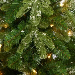 3.5' Pre-Lit Potted Snowed Teton Fir Artificial Christmas Tree, Clear Lights 11 3.5' Pre-Lit Potted Snowed Teton Fir Artificial Christmas Tree, Clear Lights -Optimal Christmas Shop dnnl20t2247 rd 4 04195.1681023937