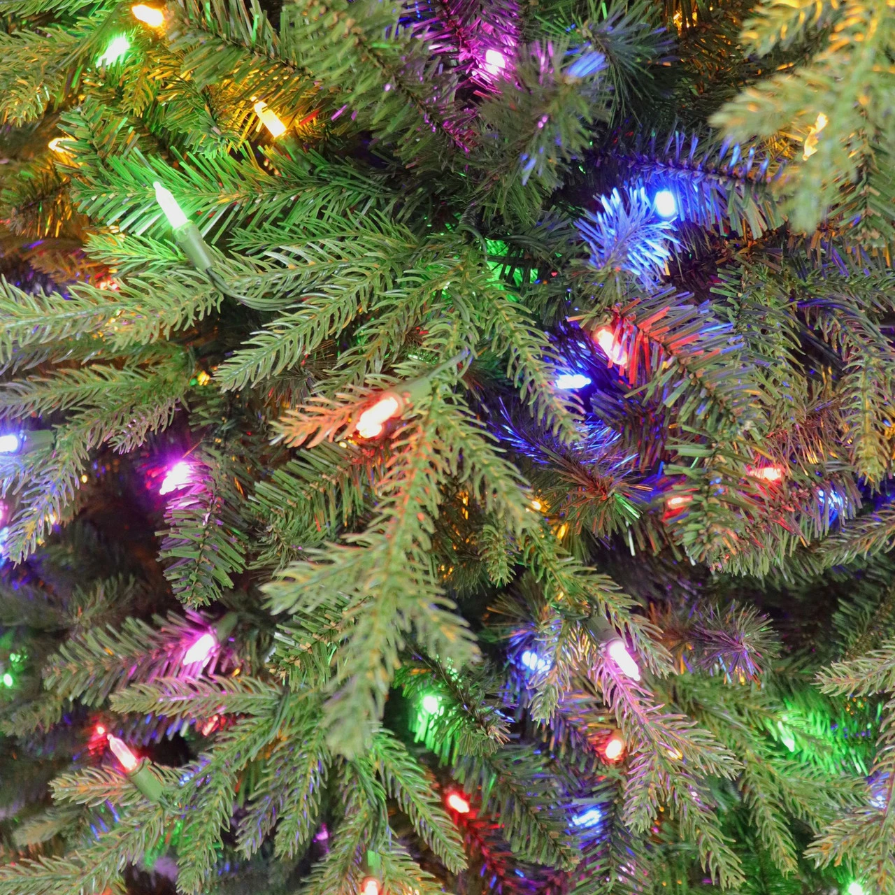 7.5' Pre-Lit LED Galveston Fir Artificial Christmas Tree, Color Select Lights 6 7.5' Pre-Lit LED Galveston Fir Artificial Christmas Tree, Color Select Lights - Image 4