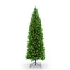 6.5' Pre-Lit Pencil Northern Fir Artificial Christmas Tree, Clear Lights -Optimal Christmas Shop dpul nfgpt 65c25 1 03075.1668756784