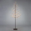 6' Pre-lit Medium Artificial Christmas Tree - Warm White LED Lights 2 6' Pre-lit Medium Artificial Christmas Tree - Warm White LED Lights -Optimal Christmas Shop dson 44416ec 46801.1667656324