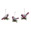 3-Piece Silver And Red Cardinal With Pine Cone Christmas Ornaments 5" 2 3-Piece Silver And Red Cardinal With Pine Cone Christmas Ornaments 5" -Optimal Christmas Shop dtpac y5862ds 26101.1667663195