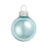 12ct Baby Blue Shiny Glass Christmas Ball Ornaments 2.75" (69mm) 1 12ct Baby Blue Shiny Glass Christmas Ball Ornaments 2.75" (69mm) -Optimal Christmas Shop dwhi 27563 1 78300.1667656028