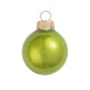 8ct Kiwi Green Glass Pearl Christmas Ball Ornaments 3.25" (80mm) 2 8ct Kiwi Green Glass Pearl Christmas Ball Ornaments 3.25" (80mm) -Optimal Christmas Shop dwhi 28044 1 01604.1667506711