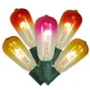 10-Count Summer Sunset Ombre Transparent ST40 Edison Christmas Light Set, 9ft Green Wire -Optimal Christmas Shop dwnfwetm0sjpjb31alomdgrqqjaeoytk 53789.1667664518