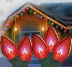 25ct Red Transparent C9 Christmas Light Set - 24ft Green Wire