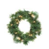 10" Pre-Lit Deluxe Windsor Pine Artificial Christmas Wreath, Clear Lights -Optimal Christmas Shop esidz5mh1syr2jjj2pnkj05bux5jdojx 00664.1667662936