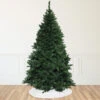 12' Full Buffalo Fir Artificial Christmas Tree - Unlit 1 12' Full Buffalo Fir Artificial Christmas Tree - Unlit -Optimal Christmas Shop exawq5ej4h7onv9jd0y43zb2maezfhwz 81788.1683123673