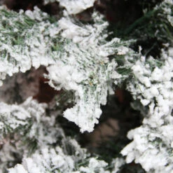 7.5' Green Heavily Flocked Pine Medium Artificial Christmas Tree - Unlit -Optimal Christmas Shop f2hgibyuzsife447otbioqji458muv3t 48153.1667656960