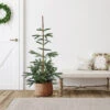 4.5' Noble Fir Layered Artificial Christmas Tree, Unlit 1 4.5' Noble Fir Layered Artificial Christmas Tree, Unlit -Optimal Christmas Shop fexrsvwocdeztxwa324ffsymrurujdgq 26315.1683644883