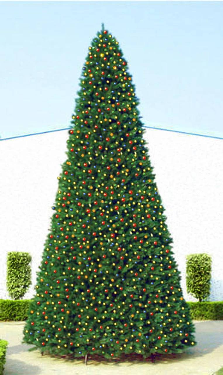 24' Pre-Lit Giant Everest Fir Commercial Christmas Tower Tree - Multicolor C7 LED Lights 4 24' Pre-Lit Giant Everest Fir Commercial Christmas Tower Tree - Multicolor C7 LED Lights - Image 2