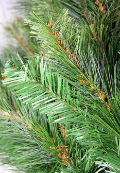 7.5' Pre-Lit Slim Jack Pine Artificial Christmas Tree - Clear LED Lights -Optimal Christmas Shop gn3humru4bfmwrmkfgrlliofakex4ld3 24582.1667662363