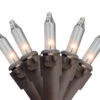 300-Count Clear Mini Christmas Lights Set, 62.25ft Brown Wire -Optimal Christmas Shop gtocas0v3dpdlit8ck5hg9augsge91sq 92561.1667488340