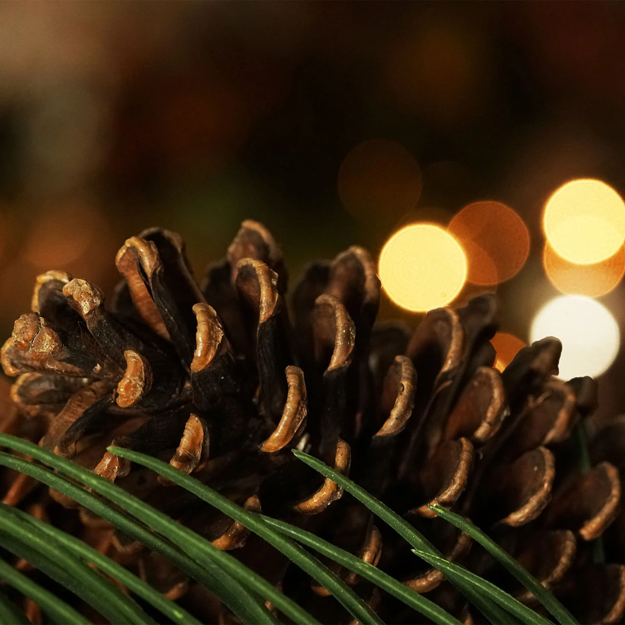 Long Pine Needle Artificial Christmas Wreath - 30-Inch, Unlit 6 Long Pine Needle Artificial Christmas Wreath - 30-Inch, Unlit - Image 4