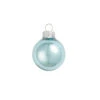 40ct Baby Blue Shiny Glass Christmas Ball Ornaments 1.5" (40mm) 2 40ct Baby Blue Shiny Glass Christmas Ball Ornaments 1.5" (40mm) -Optimal Christmas Shop ho7qpttpbnbz9qmzsjxp28lfz9f8b4e3 93852.1667685121
