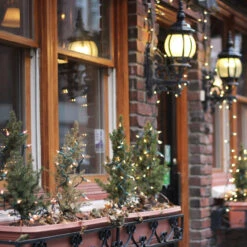 300-Count Clear Mini Christmas Light Set, 149.6ft Green Wire -Optimal Christmas Shop holidaychristmaslights lifestyle 51493.1667640864