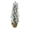 2ft Potted Flocked Mini Pine Slim Christmas Tree With Berries - Unlit -Optimal Christmas Shop iufjbtciuvh8sdlatpquizke0rqpf1o2 53001.1667530651